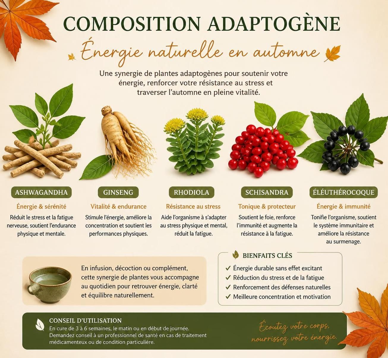 découvrez comment utiliser les plantes pour augmenter votre énergie de manière naturelle et retrouver vitalité et bien-être au quotidien.